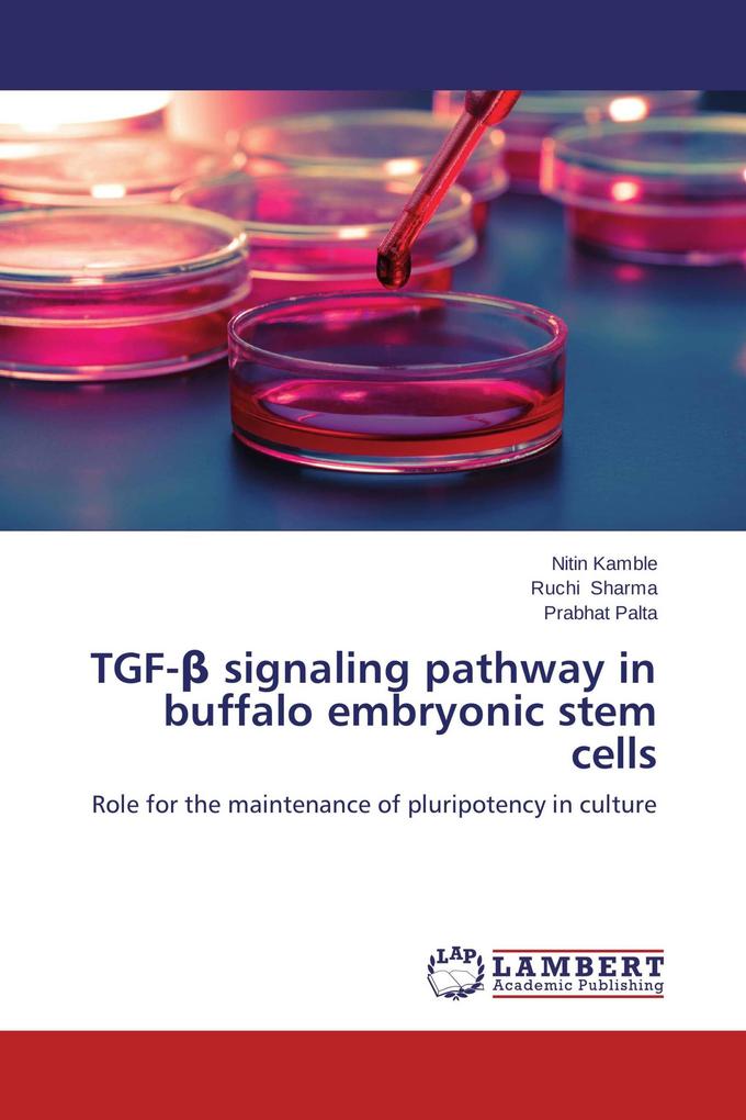 TGF- signaling pathway in buffalo embryonic stem cells