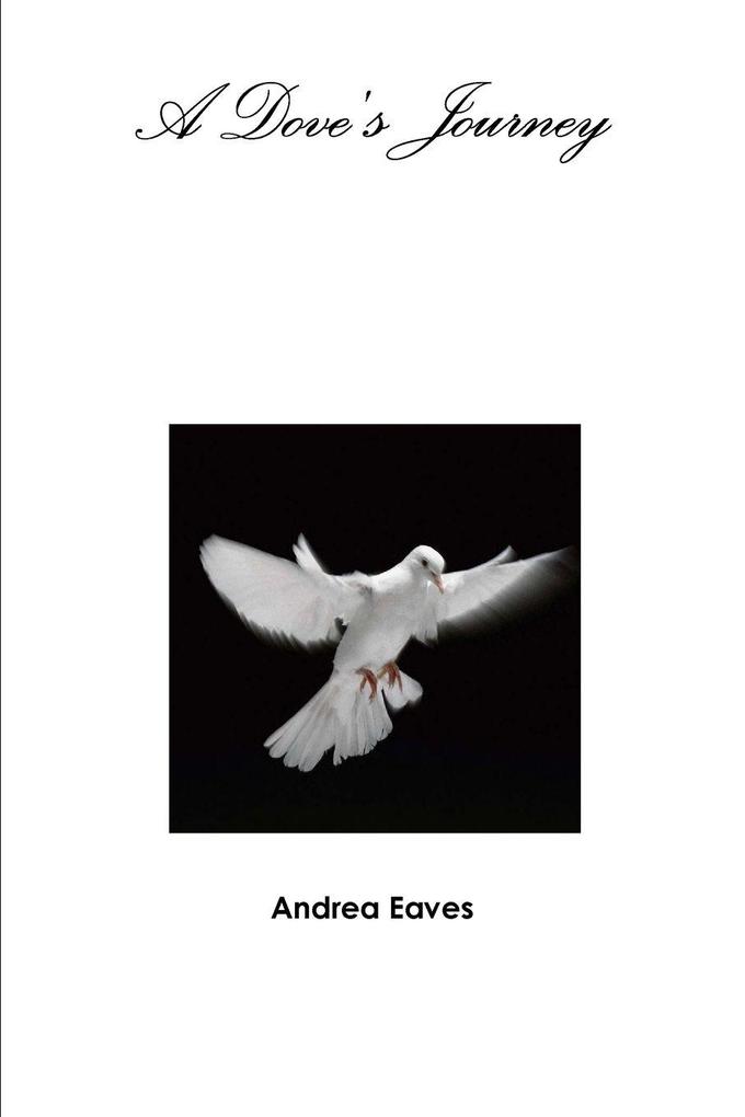 A Dove's Journey