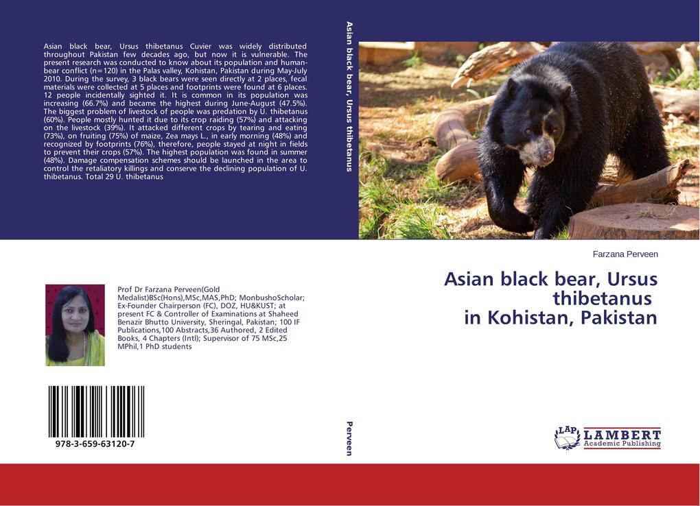 Asian black bear Ursus thibetanus in Kohistan Pakistan