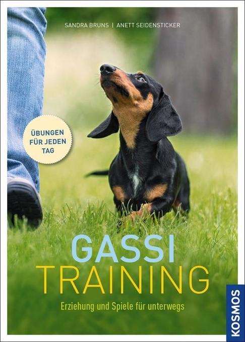 Gassi-Training