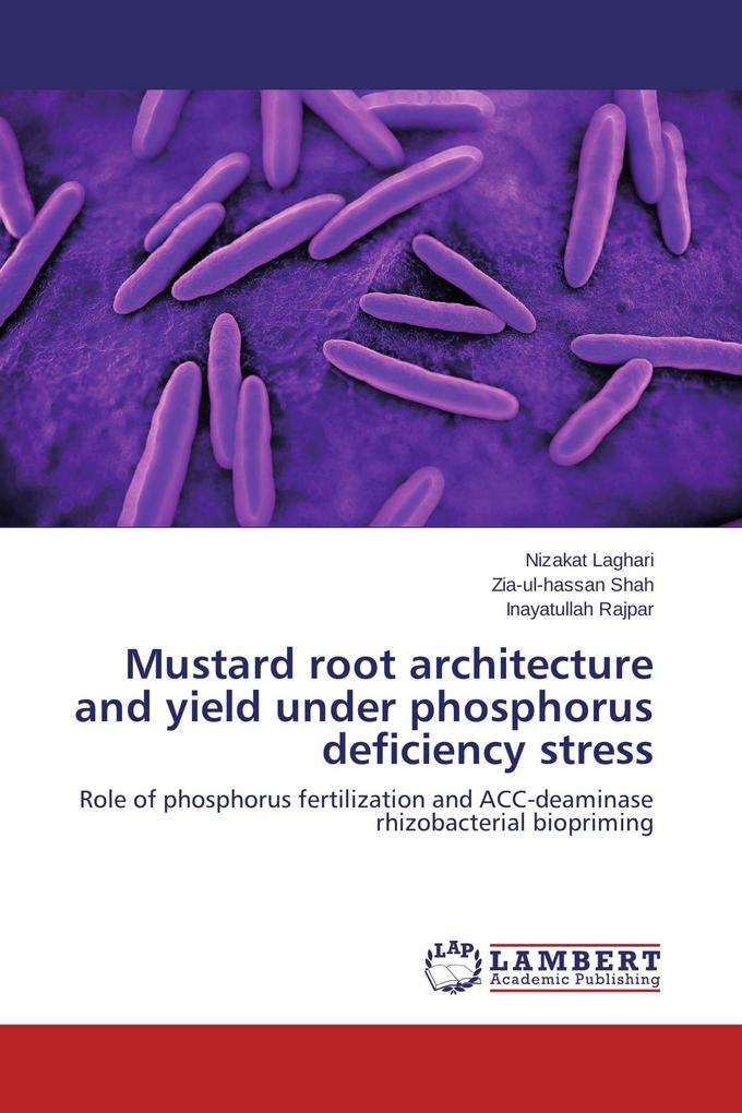 Mustard root architecture and yield under phosphorus deficiency stress