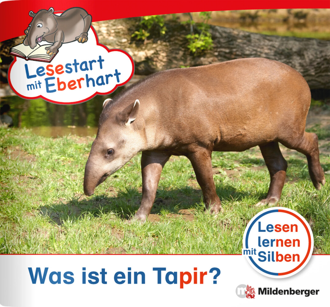 Was ist ein Tapir?
