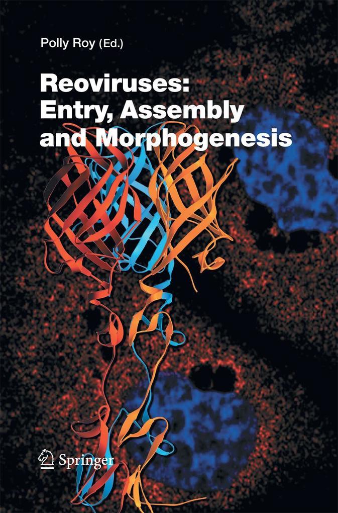 Reoviruses: Entry Assembly and Morphogenesis
