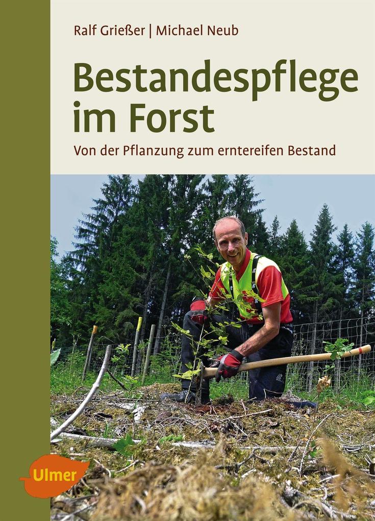 Bild 1 von 1