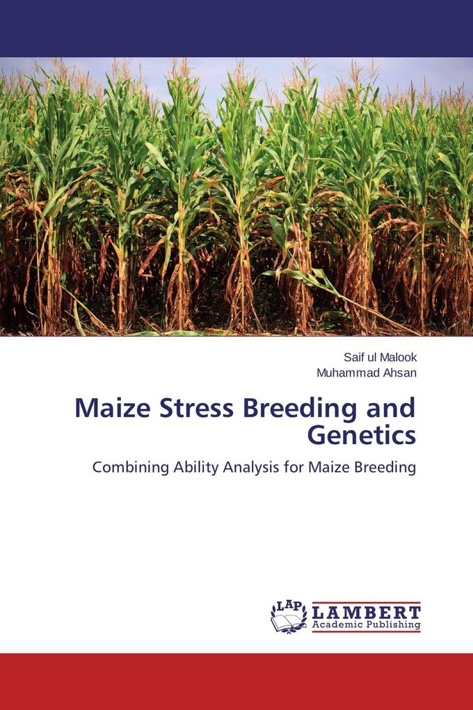 Maize Stress Breeding and Genetics