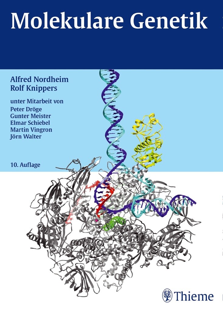 Molekulare Genetik als eBook Download von