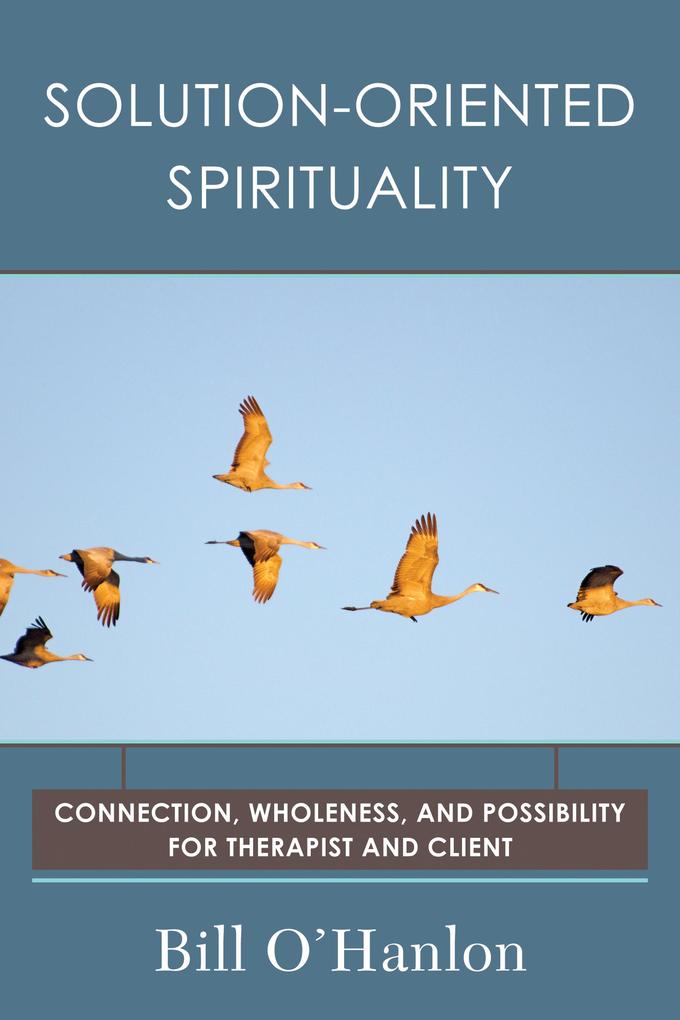 Solution-Oriented Spirituality: Connection Wholeness and Possibility for Therapist and Client