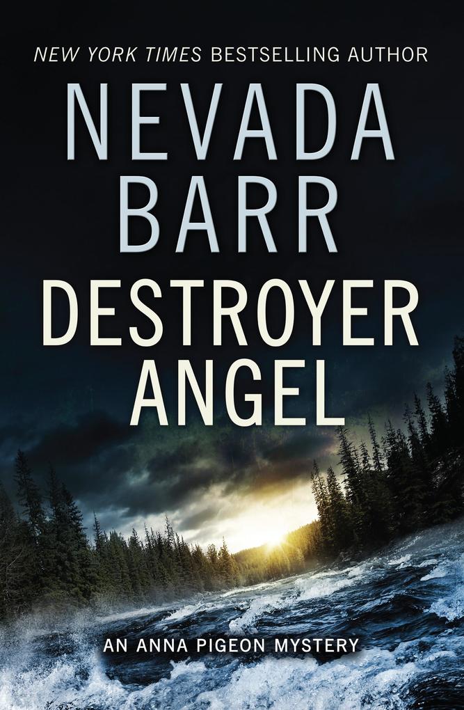 Destroyer Angel (Anna Pigeon Mysteries Book 18)