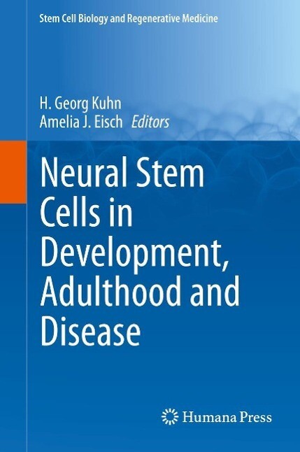 Neural Stem Cells in Development Adulthood and Disease