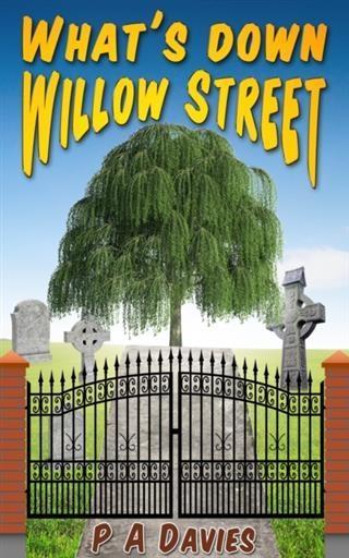 What's Down Willow Street