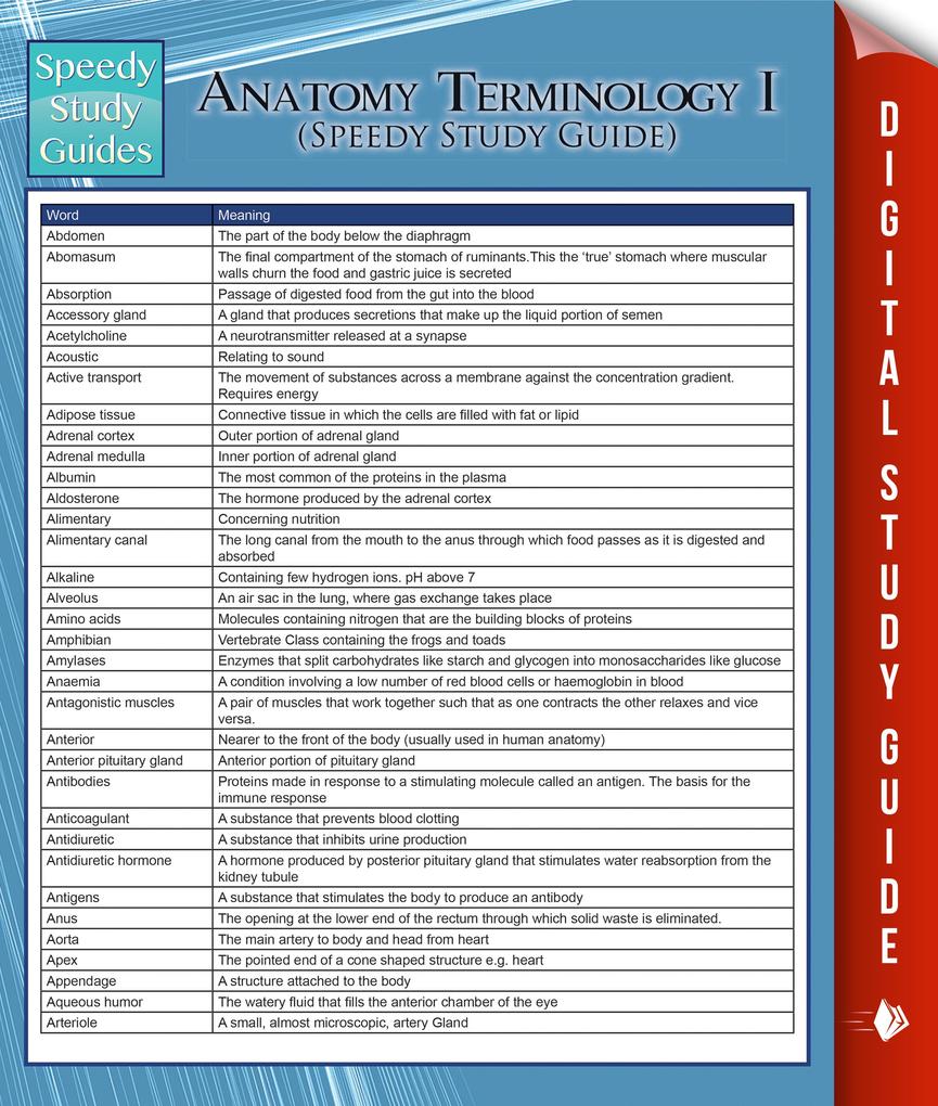 Anatomy Terminology I (Speedy Study Guide)