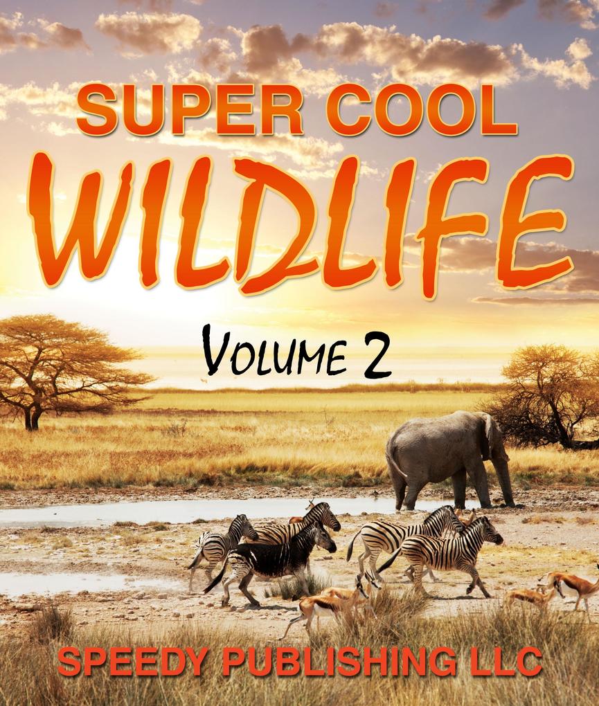 Super Cool Wildlife Volume 2