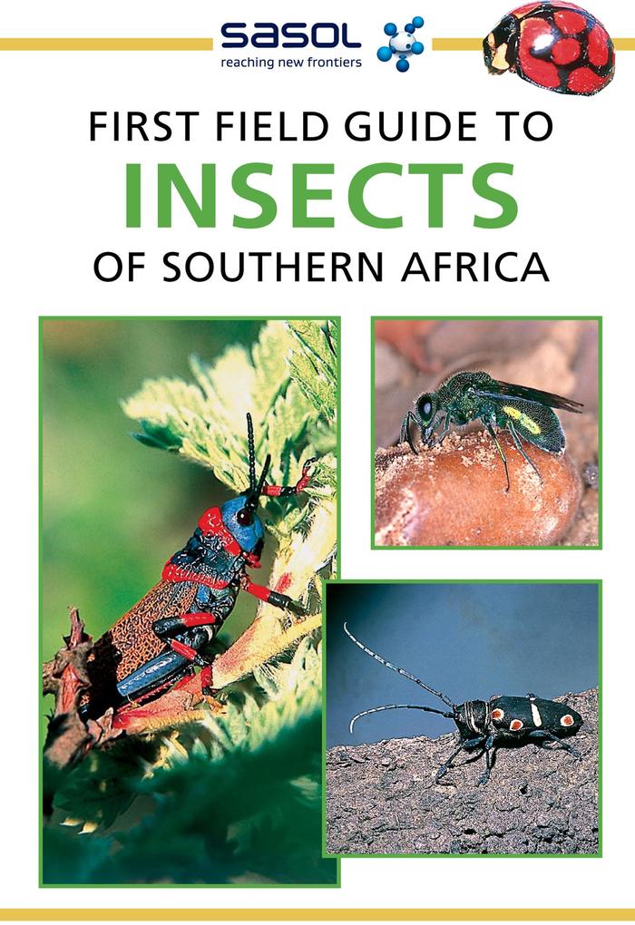 Sasol First Field Guide to Insects of Southern Africa