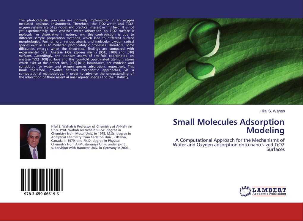 Small Molecules Adsorption Modeling