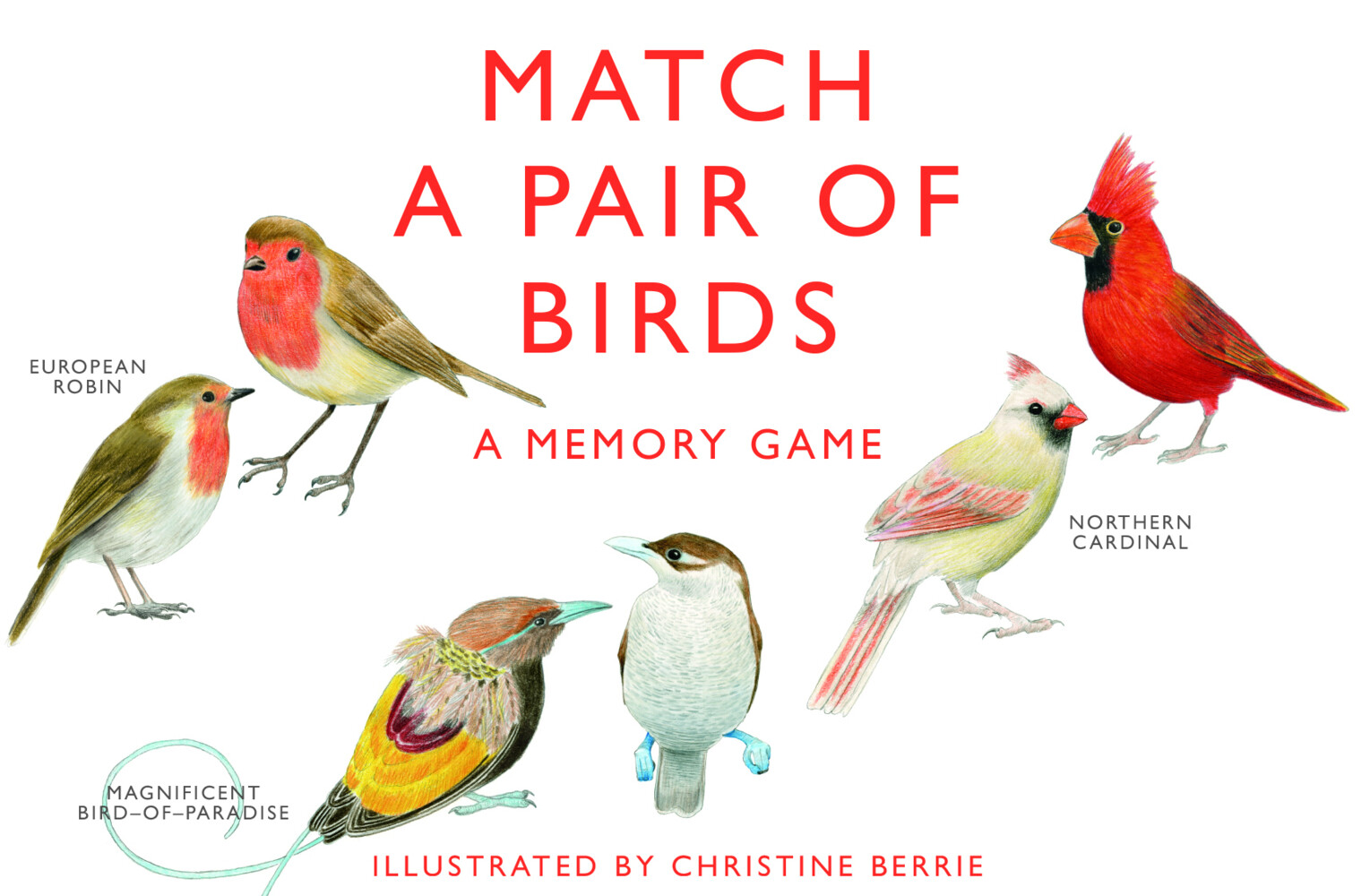 Image of Match a Pair of Birds: A Memory Game