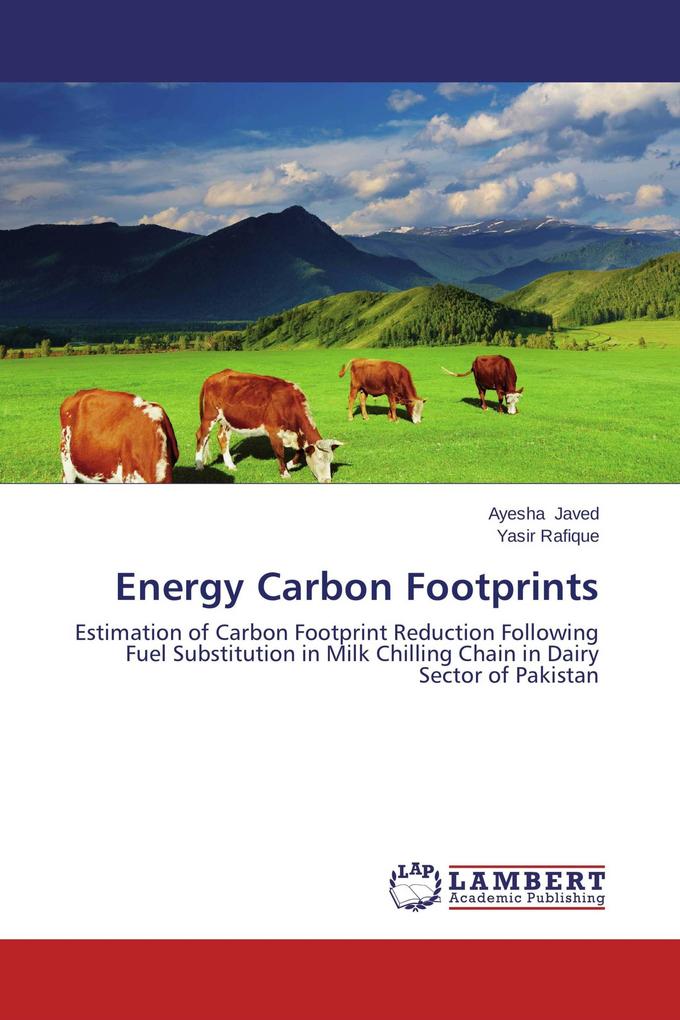 Energy Carbon Footprints