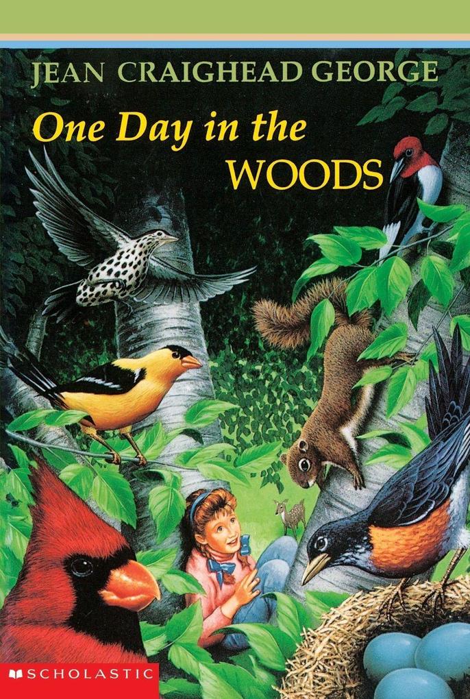 One Day in the Woods