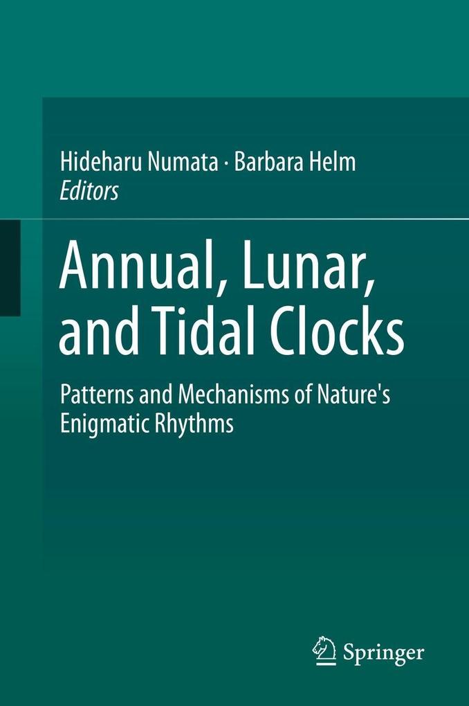 Annual Lunar and Tidal Clocks