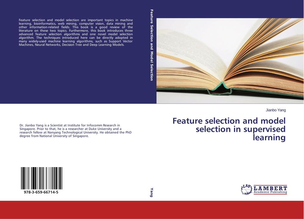 Feature selection and model selection in supervised learning
