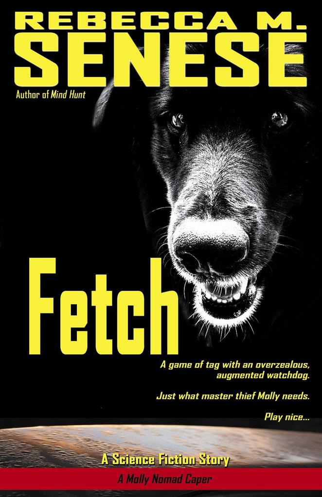 Fetch: A Science Fiction Story (A Molly Nomad Caper)