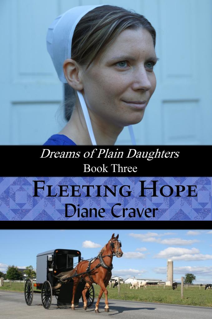 Fleeting Hope (Dreams of Plain Daughters #3)