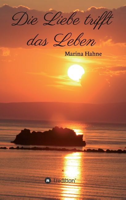 Image of Die Liebe trifft das Leben