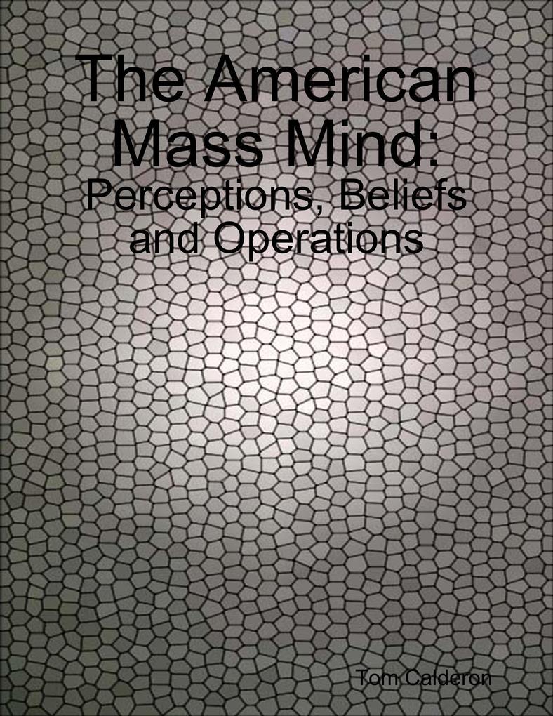 The American Mass Mind: Perceptions Beliefs and Operations