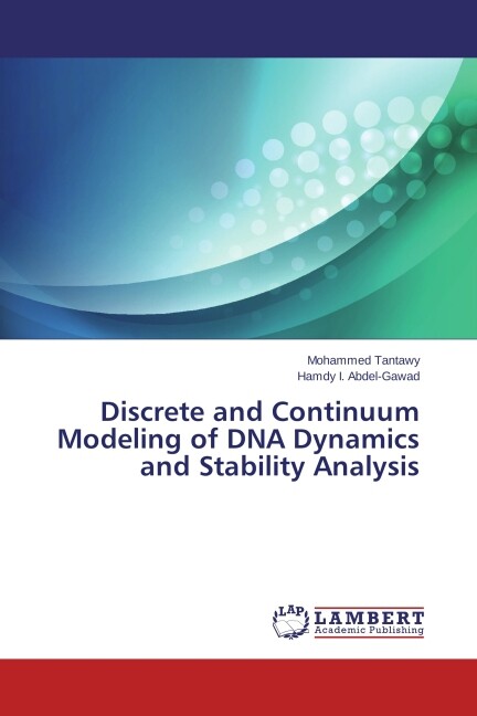 Discrete and Continuum Modeling of DNA Dynamics and Stability Analysis
