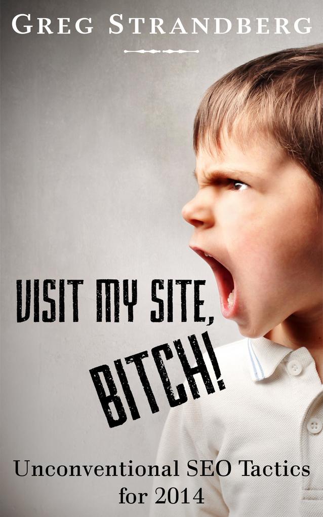 Visit My Site Bitch! Unconventional SEO Tactics for 2014 (Increasing Website Traffic Series #2)