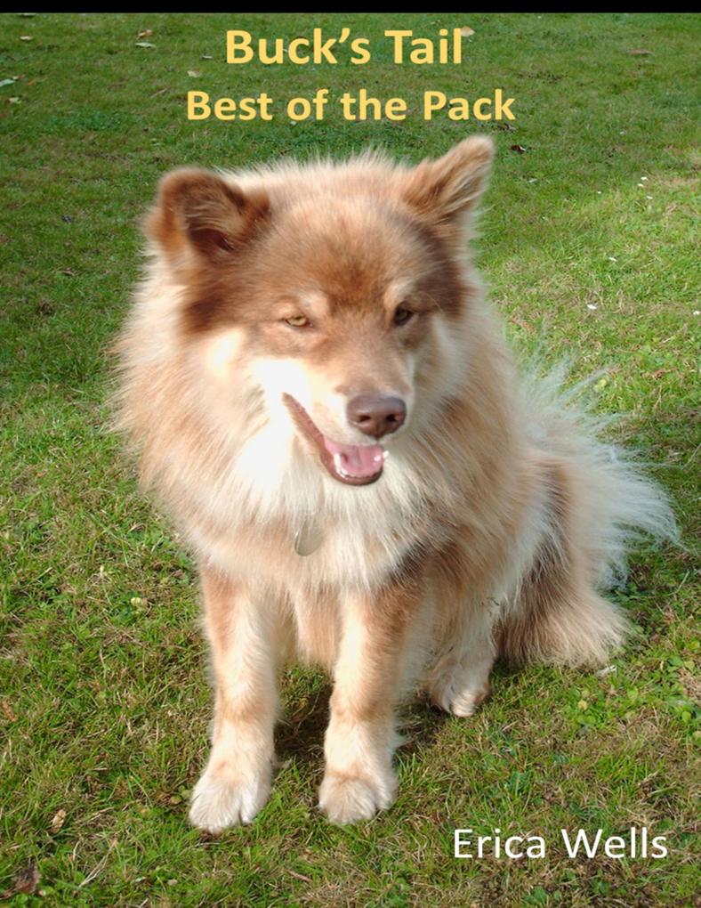 Buck‘s Tail - Best of the Pack