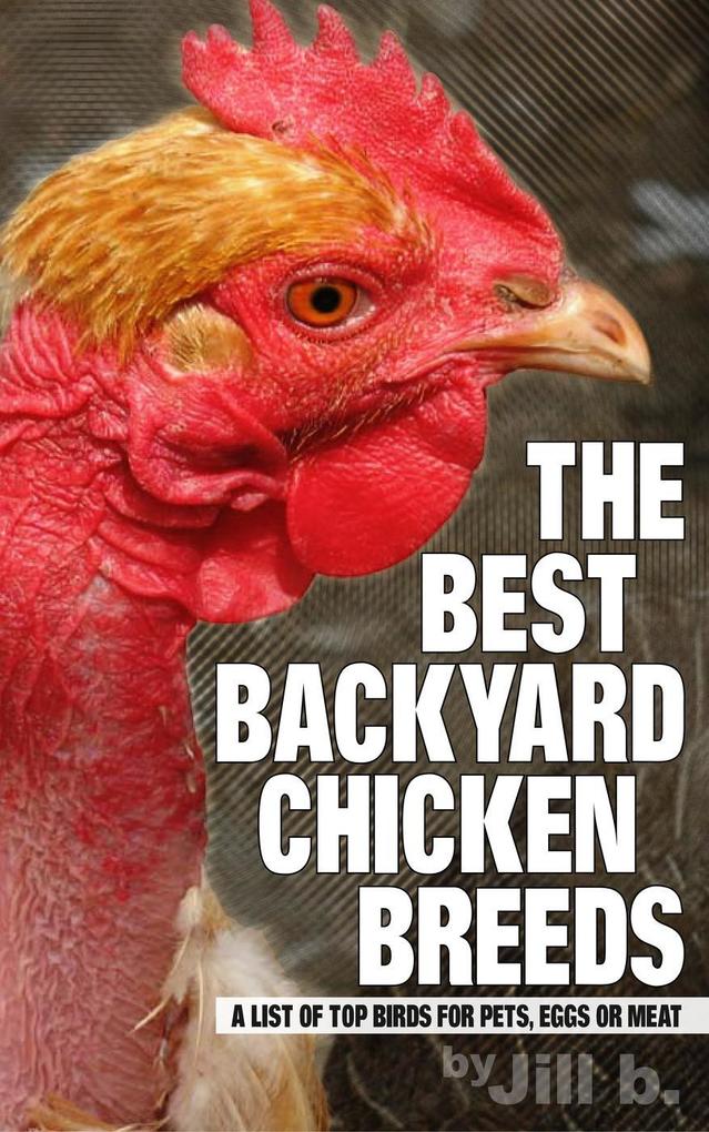 The Best Backyard Chicken Breeds: A List of Top Birds for Pets Eggs and Meat