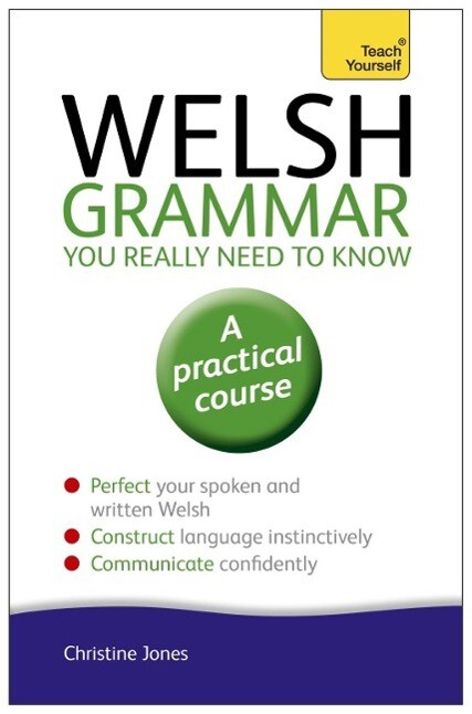 Welsh Grammar You Really Need to Know: Teach Yourself