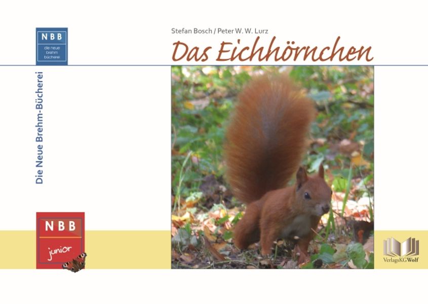 Wolf Verlagskg Das Eichhörnchen - Bild 4