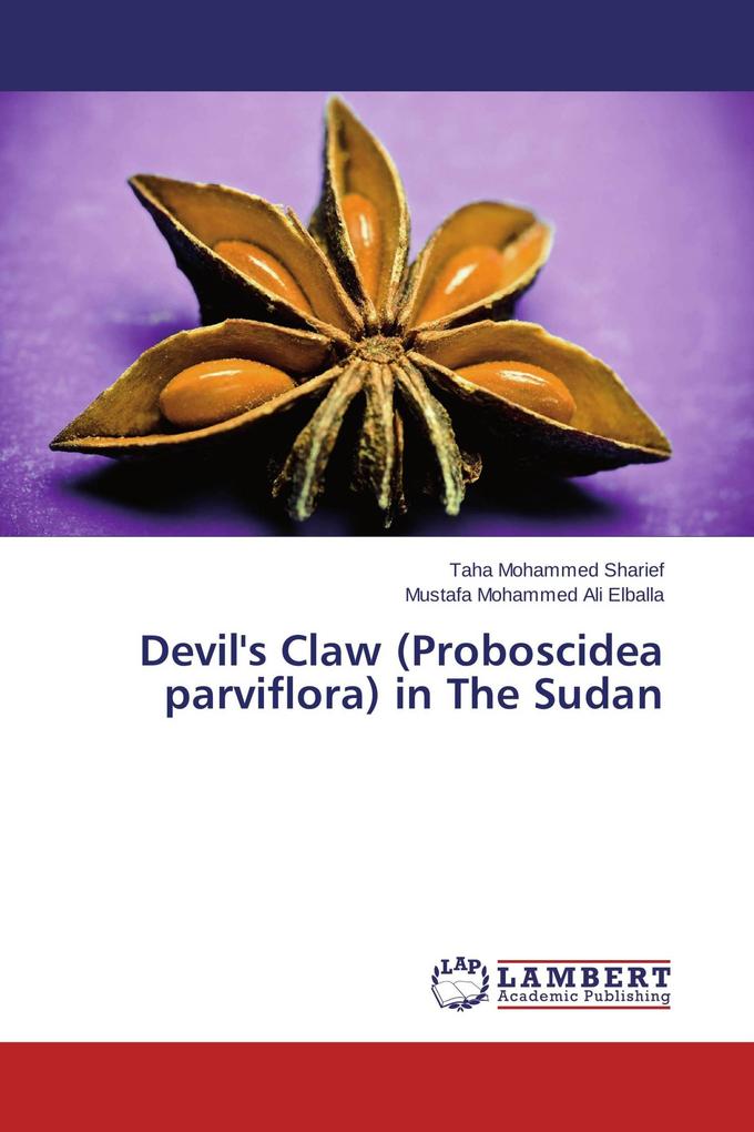 Devil's Claw (Proboscidea parviflora) in The Sudan