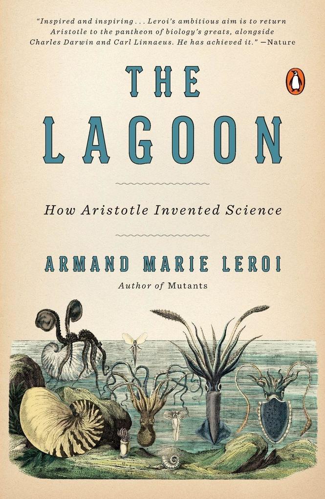 The Lagoon