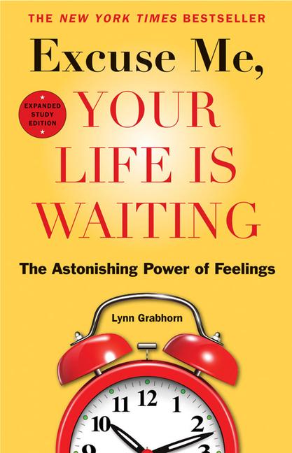 Excuse Me Your Life Is Waiting: The Astonishing Power of Feelings