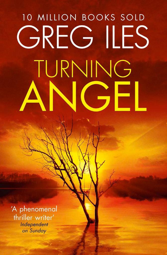 Turning Angel - Greg Iles