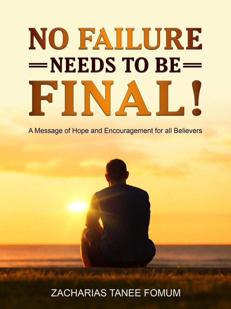 No Failure Needs to be Final! (Other Titles #5)