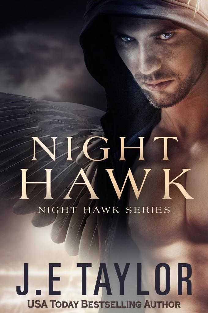 Night Hawk (Night Hawk Series #1)