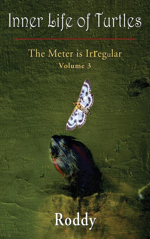 The Meter is Irregular Volume 3 - Inner Life of Turtles