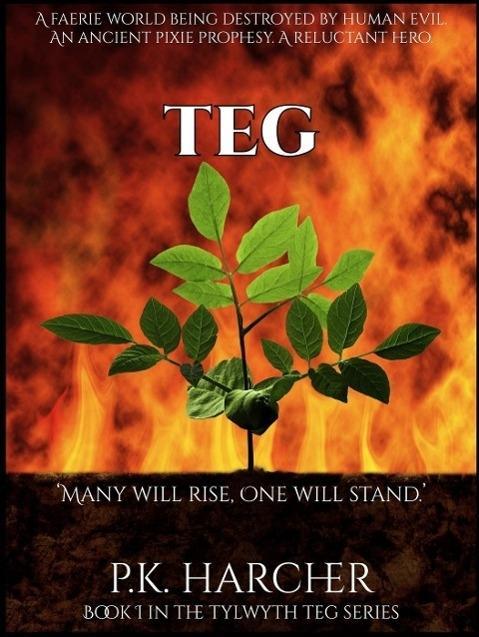 Teg (The Tylwyth Teg (Faerie Folk) Series #1)