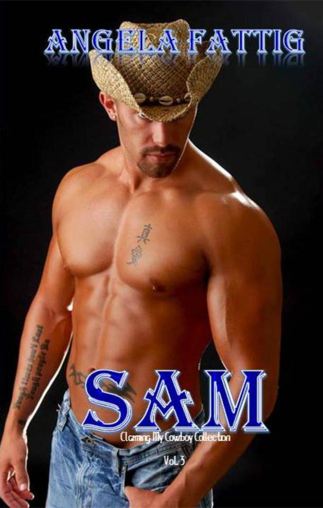  (Claiming my Cowboy Collection Standalone Short Story #3)