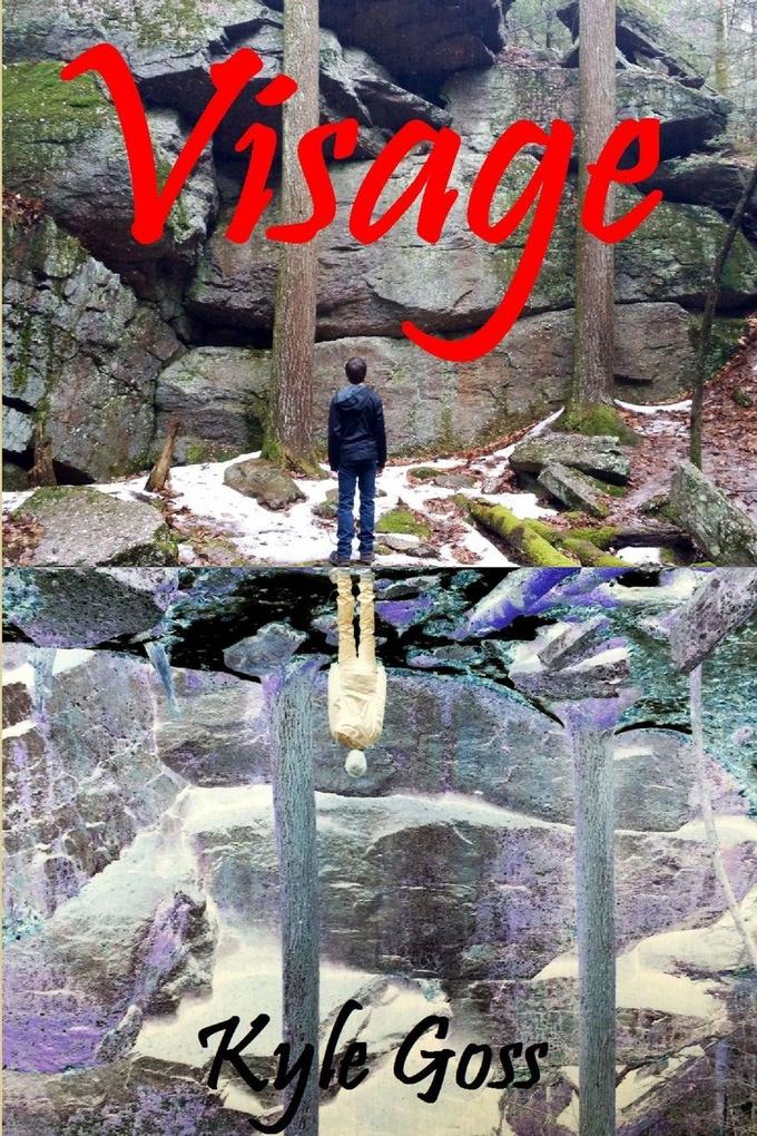 Visage