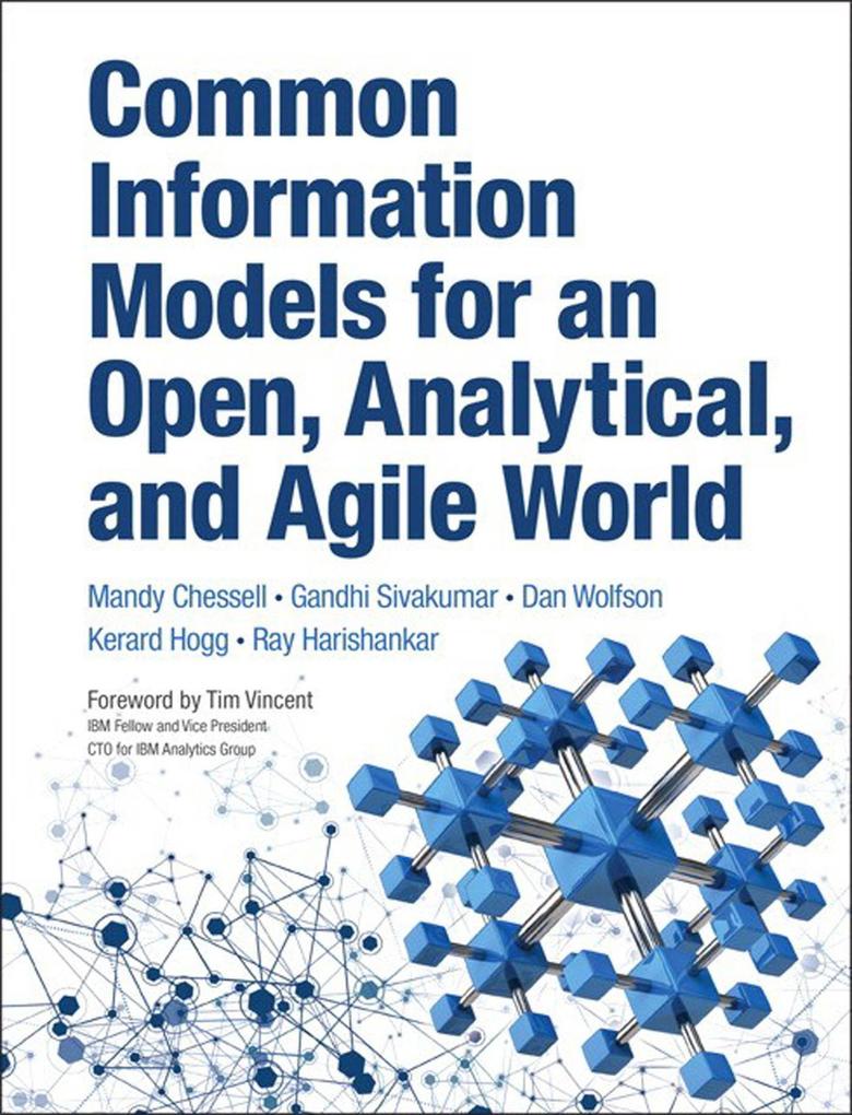 Common Information Models for an Open Analytical and Agile World