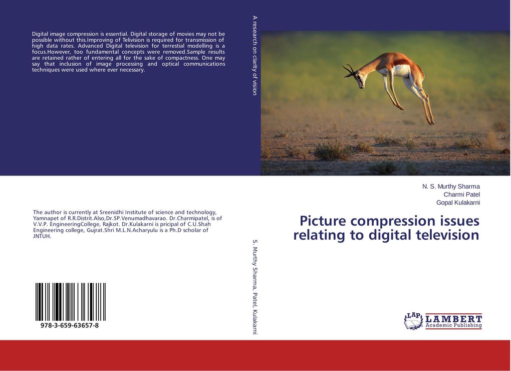 Picture compression issues relating to digital television