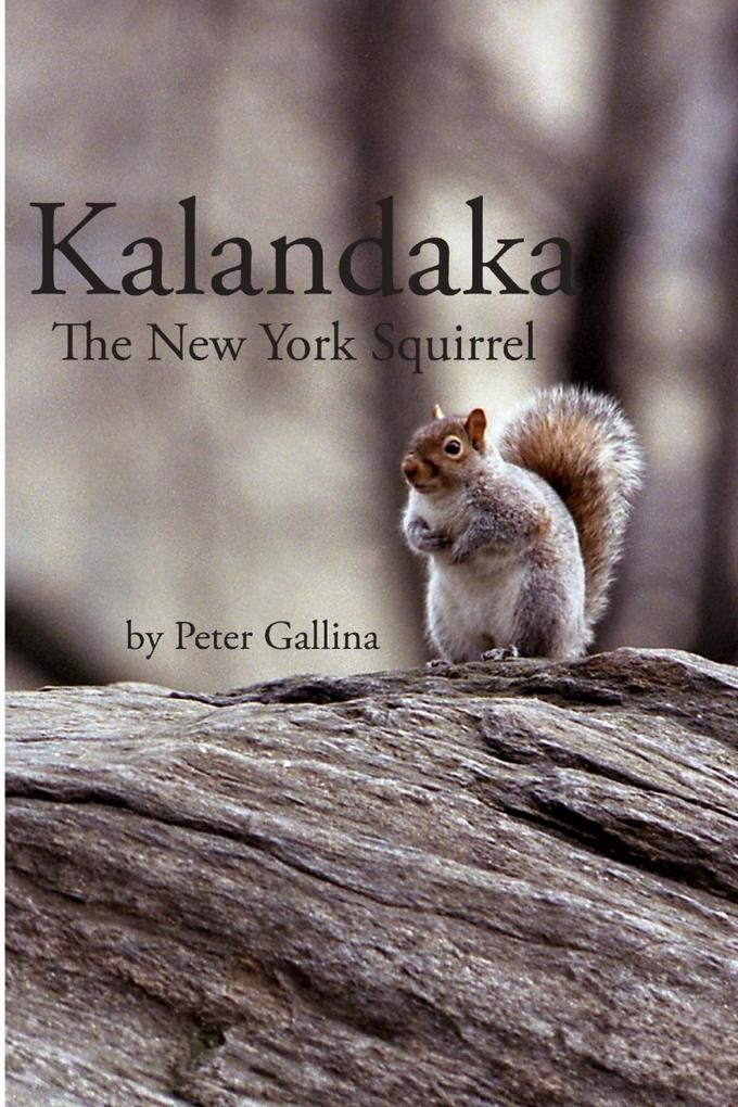 Kalandaka: The New York Squirrel