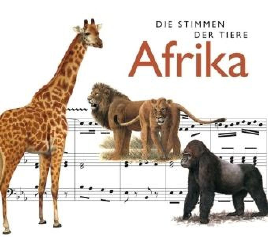Afrika
