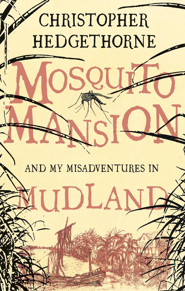 Mosquito Mansion and my Misadventures in Mudland