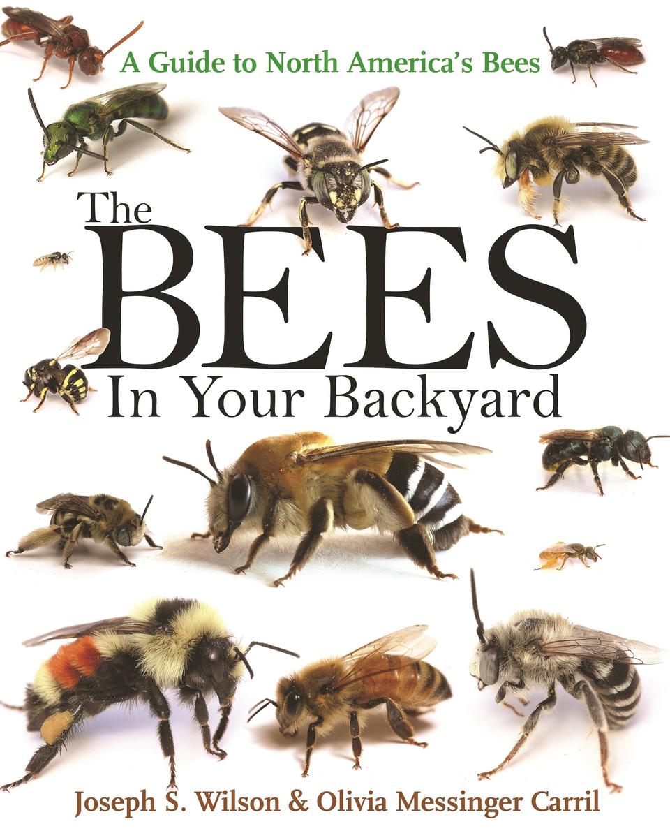 Princeton University Press The Bees In Your Backyard