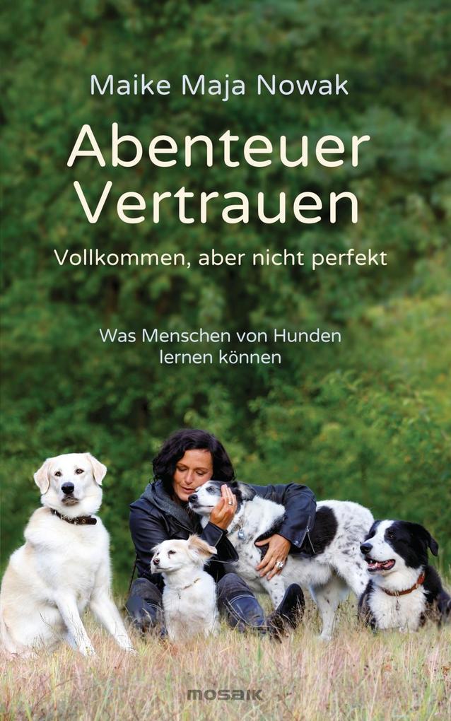 Abenteuer Vertrauen als Buch Abenteuer Vertrauen als Buch